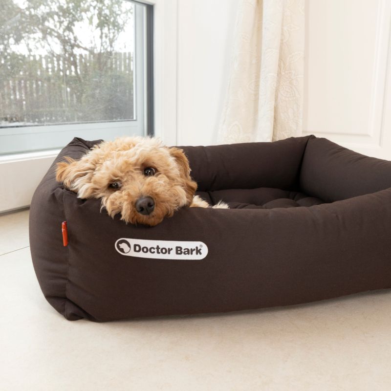 Doctor Bark - Orthopädisches Hundebett - Braun