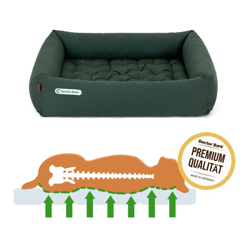 Doctor Bark - Orthopädisches Hundebett - Grün