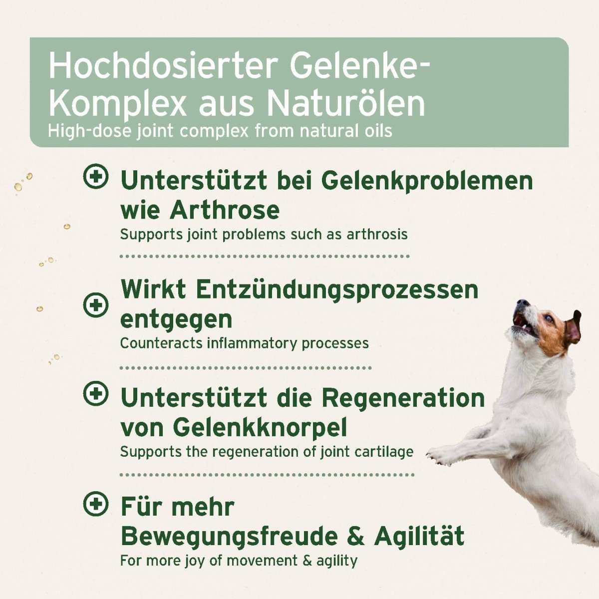 Aniforte plus Arthro Omega Öl