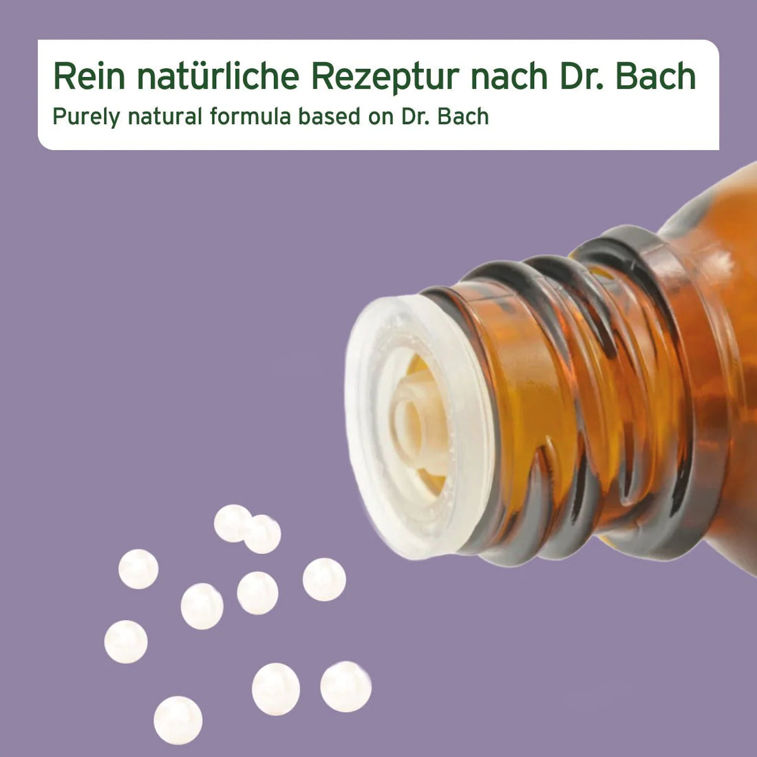 Aniforte Bachblüten Protest