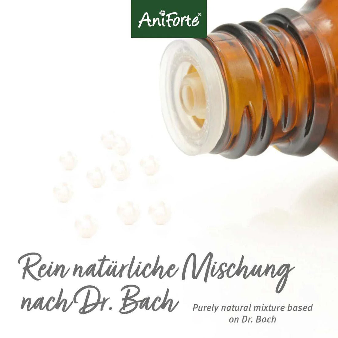 Aniforte Bachblüten Wohlfühl