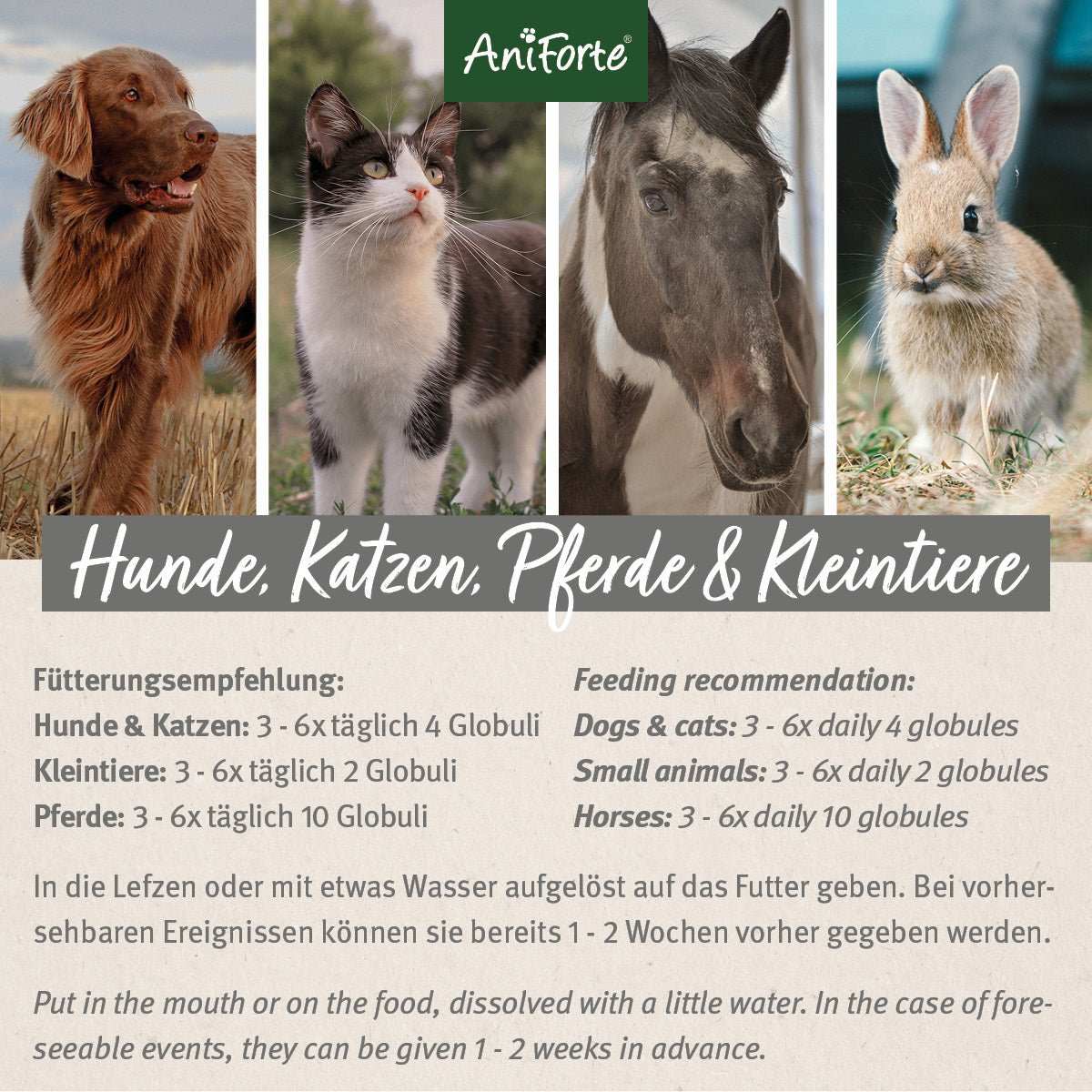 Aniforte Bachblüten Wohlfühl