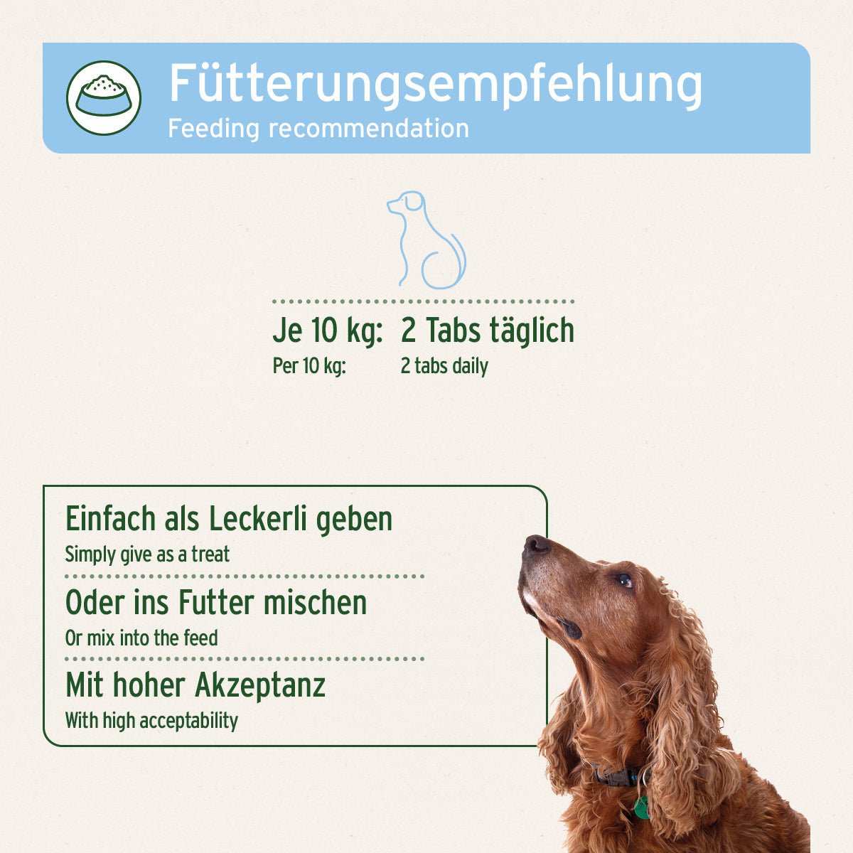 Aniforte Bierhefe Tabs