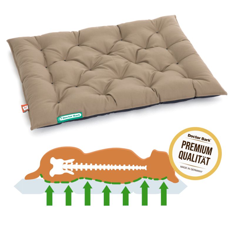 Doctor Bark - Orthopädisches Country Kissen - Goldbraun / Königsblau
