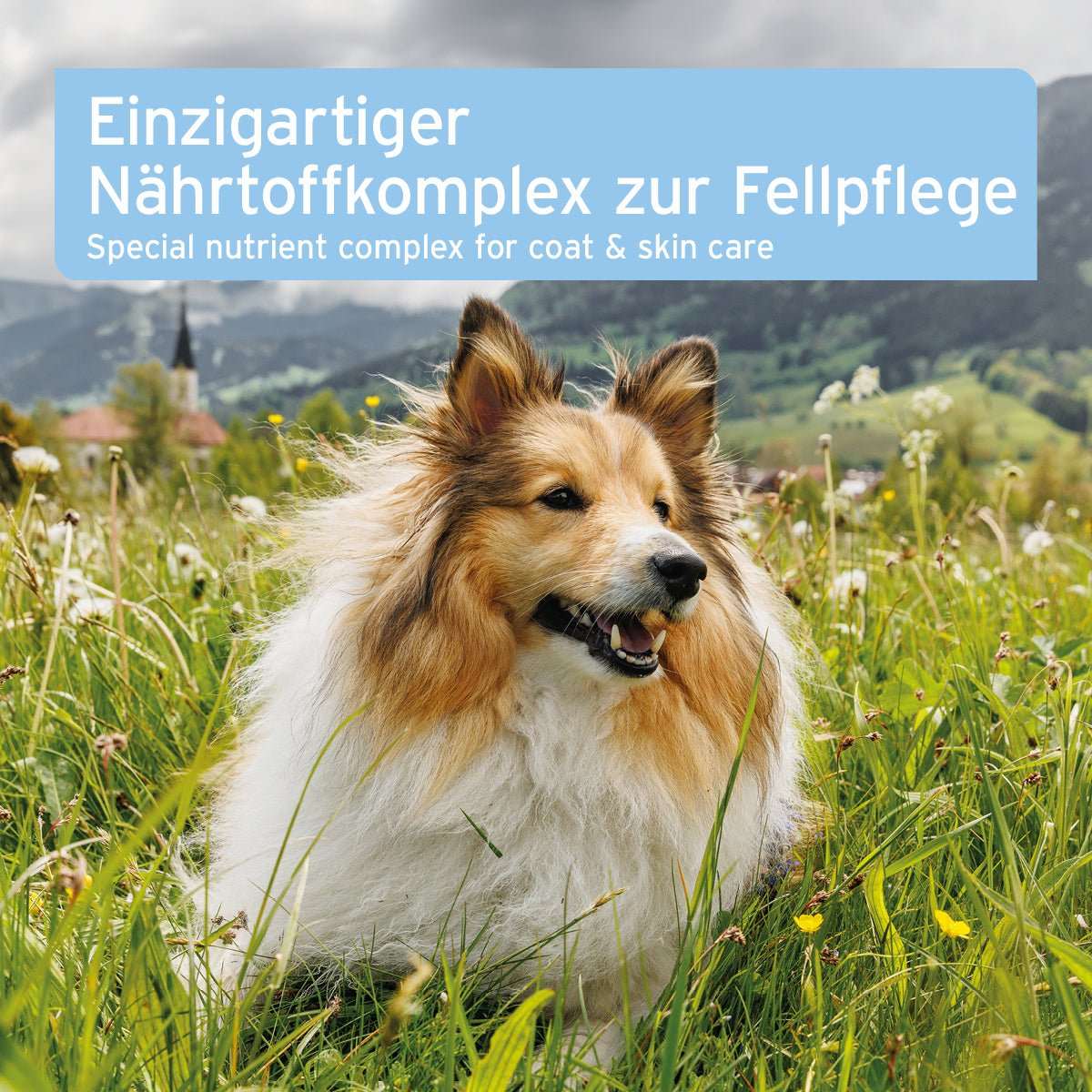 Aniforte plus Fell & Haut