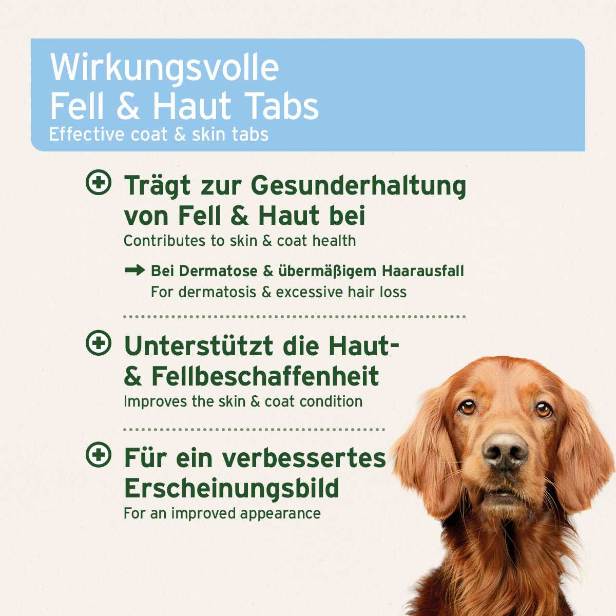 Aniforte plus Fell & Haut