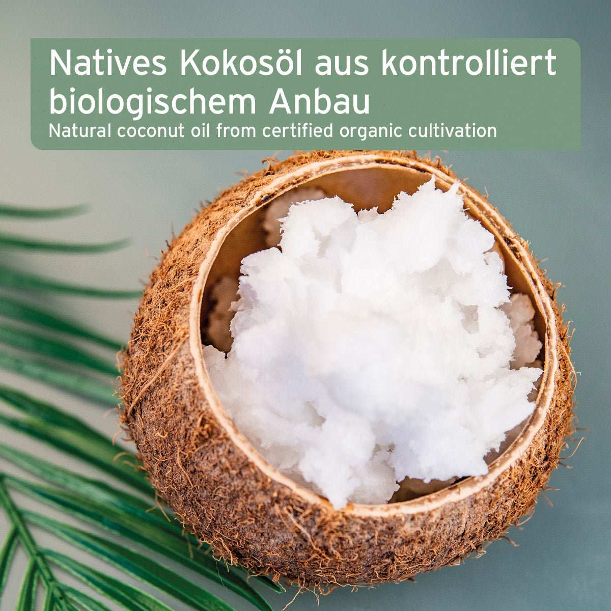 Aniforte Bio Kokosöl