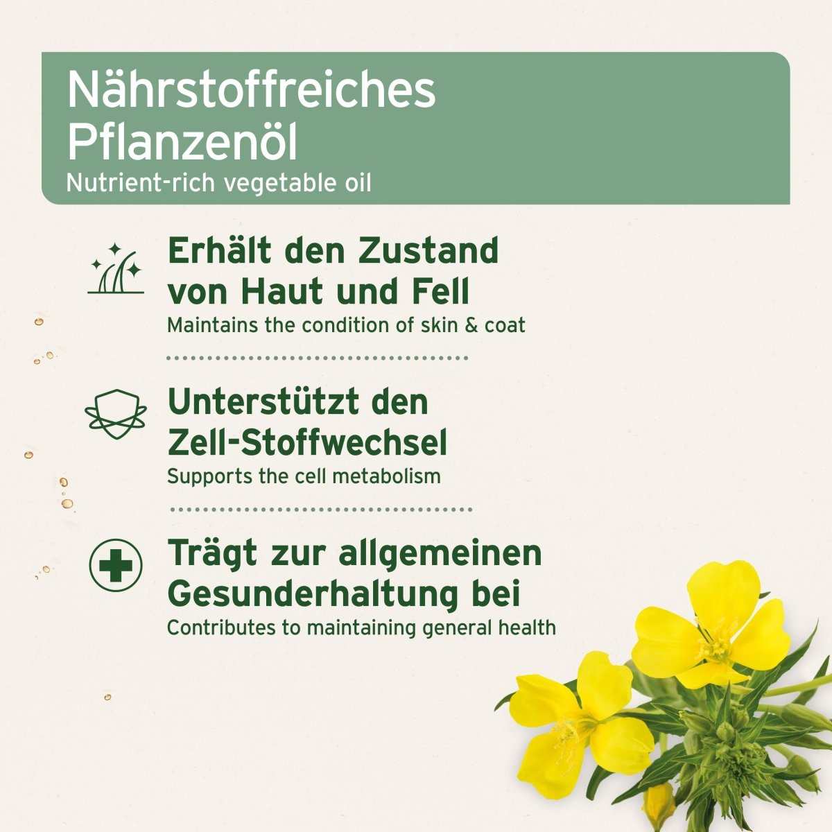 Aniforte Nachtkerzenöl