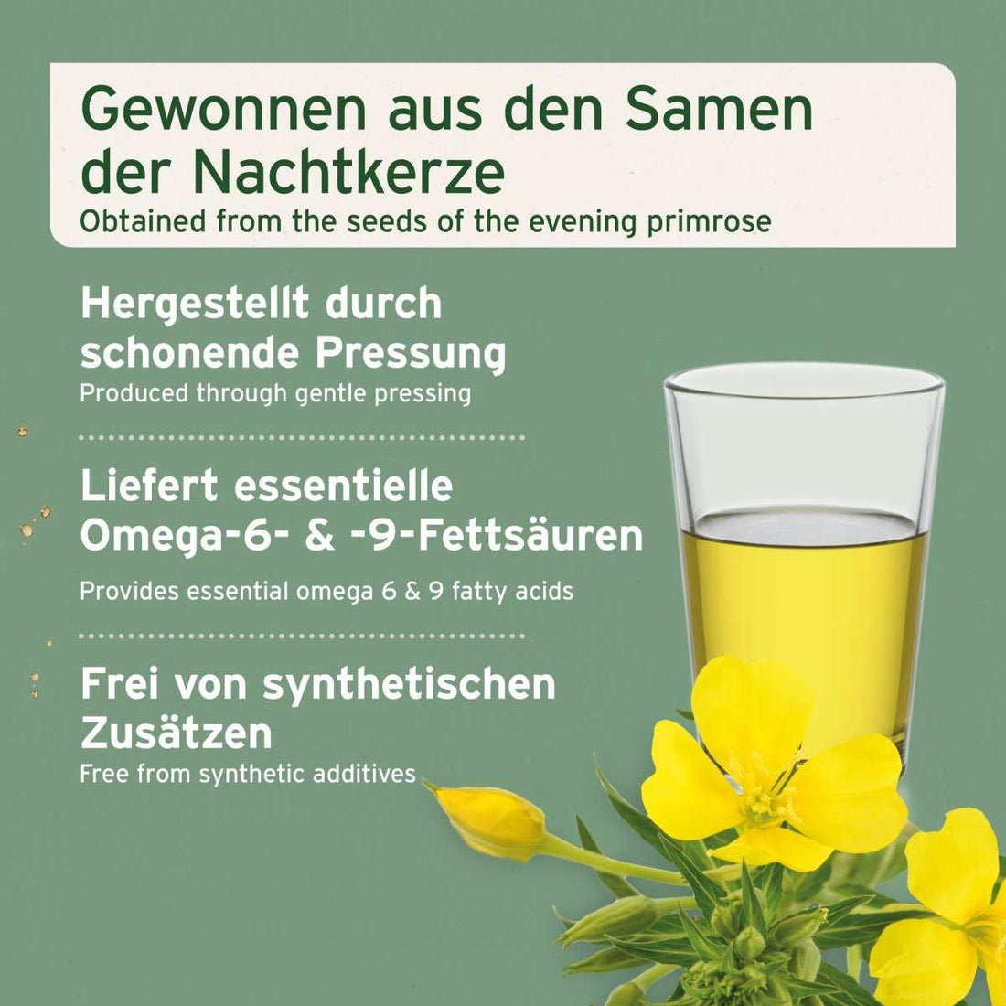 Aniforte Nachtkerzenöl