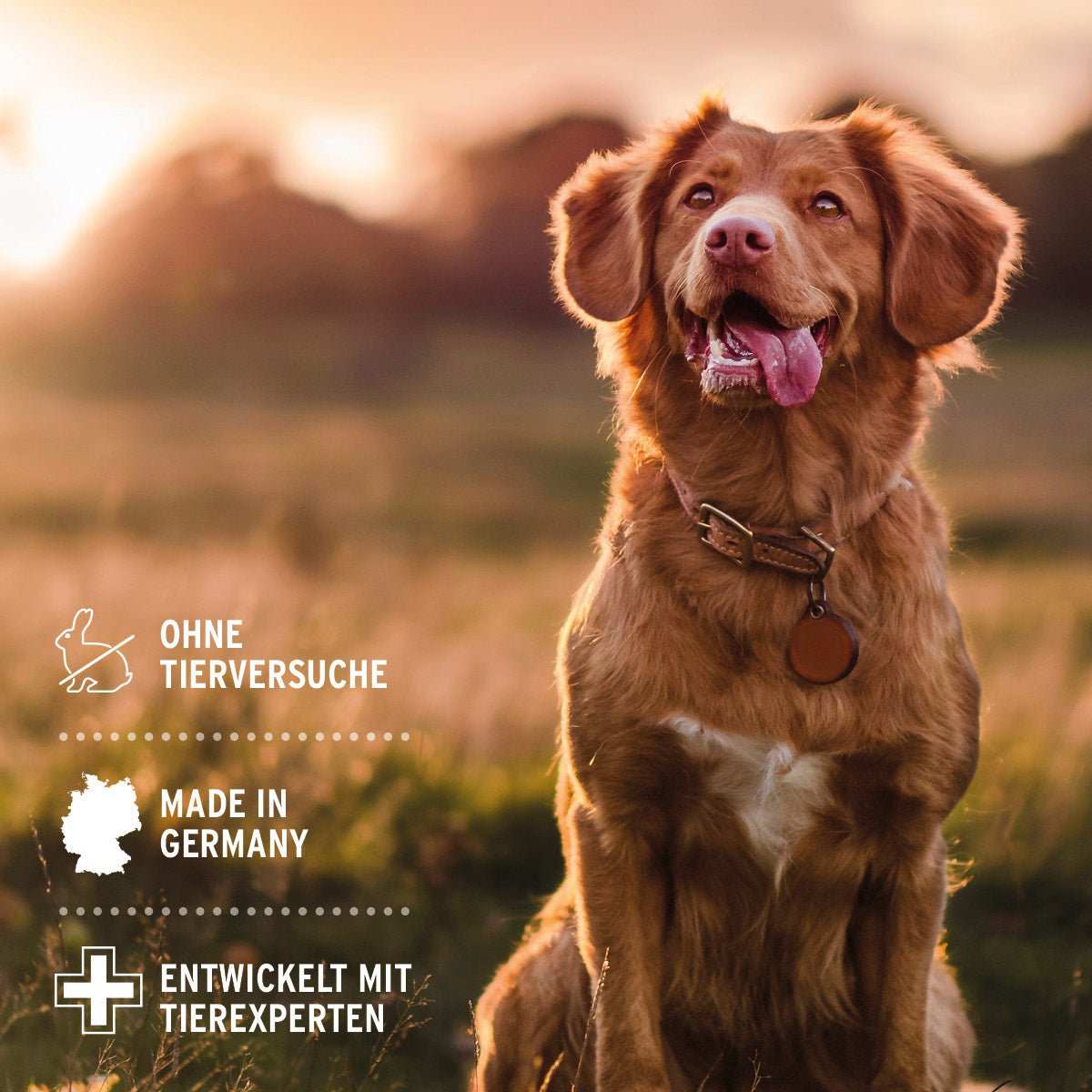 Aniforte Fellharmonie Shampoo Sensitiv